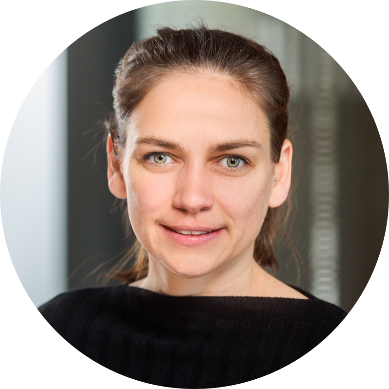 Governance Structure – 2D-MATURE